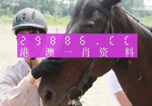 热点 第255页