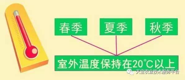 800图库免费资料大全2024-2025,实用释义解释落实_DT60.578