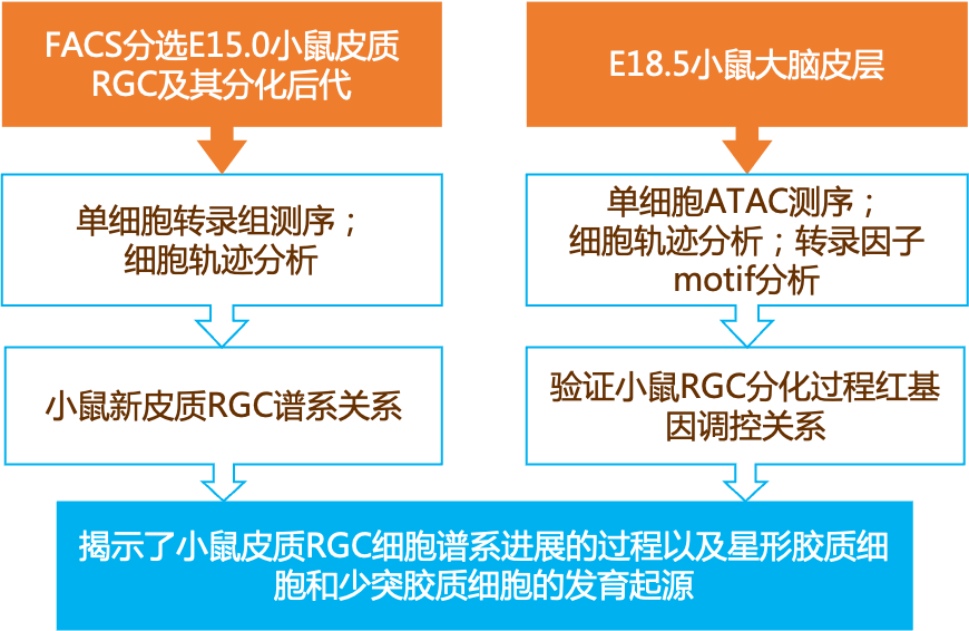 新奥门资料大全正版资料2024-2025,构建解答、解释落实