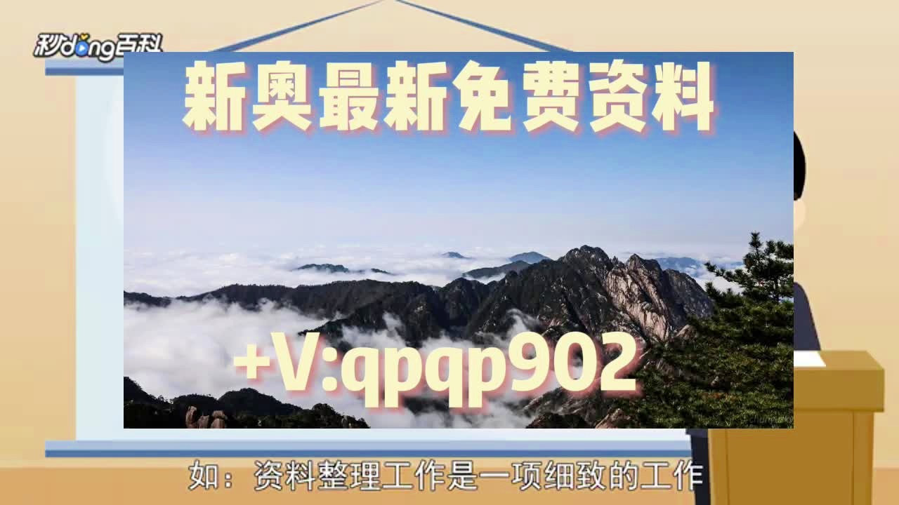 4949免费正版资料大全，全面释义、解释与落实