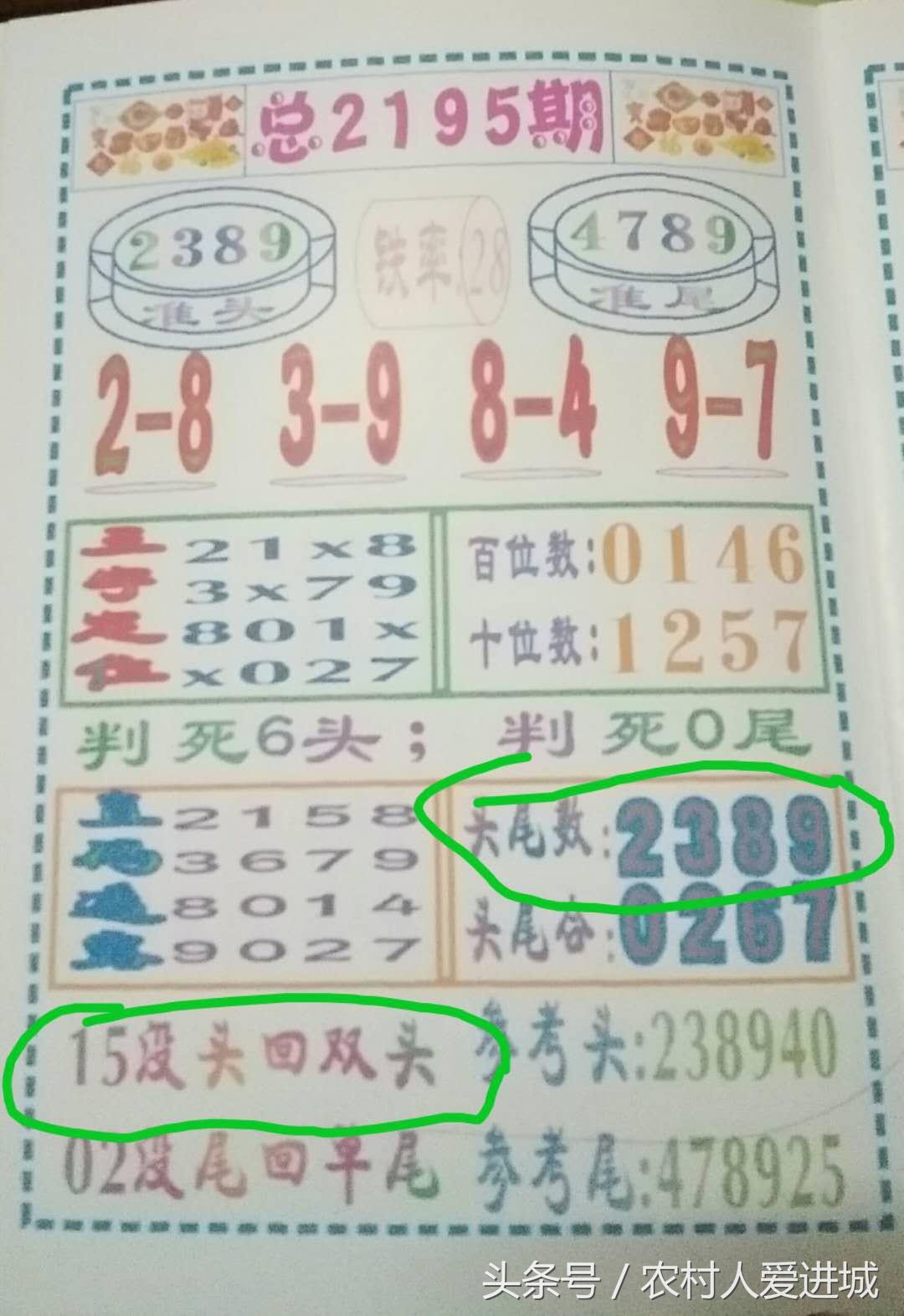 2025年2月12日 第9页