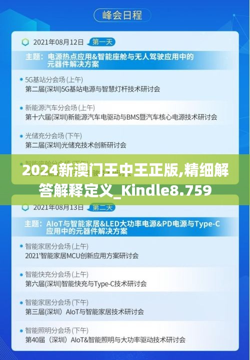 2024-2025新澳门王中王正版，精选解析、解释与落实