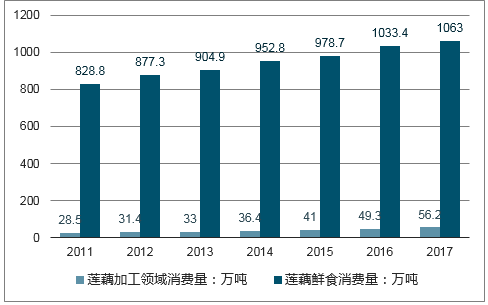 2024-2025正版资料免费公开,关键词释义与落实策略详解