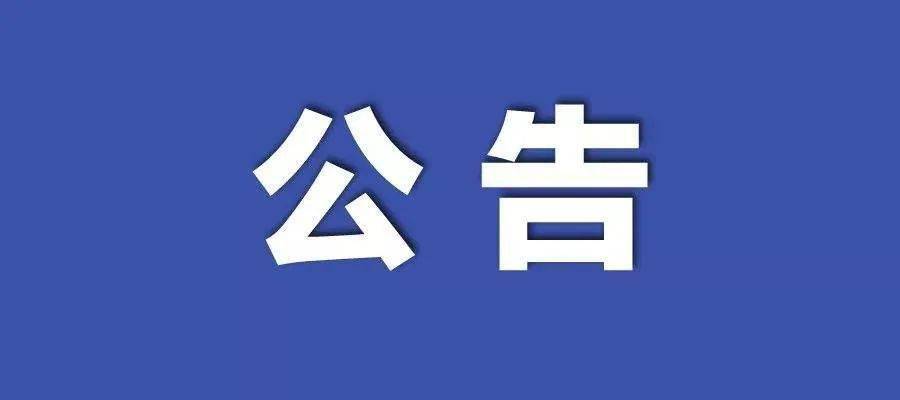 新澳门2024年正版免费公开,关键词释义与落实策略详解