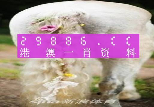 澳门答家婆一肖一码一中一特的全面释义解释与落实展望（到2026年）