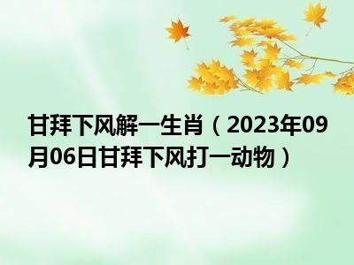 甘拜下风最正确生肖,全面释义与落实